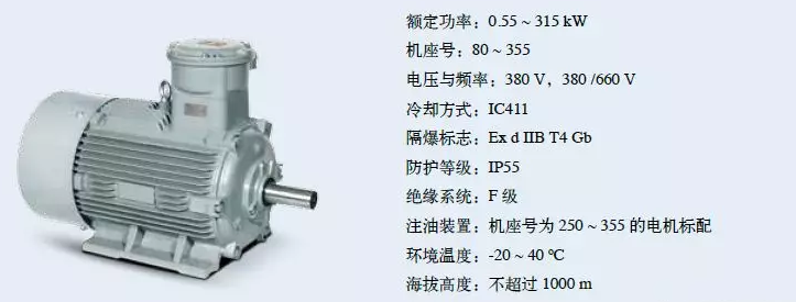 1MT0001系列粉尘防爆电机