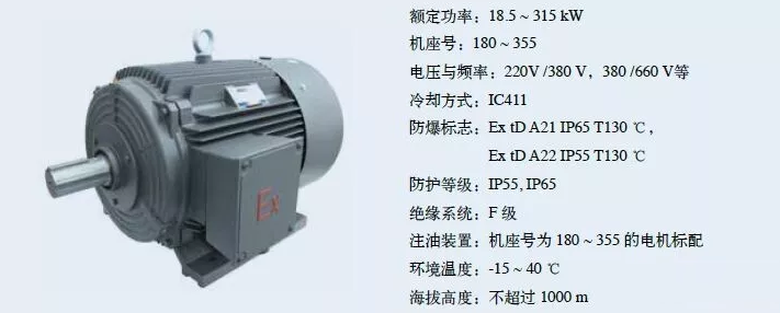 1MT0011系列粉尘防爆电机